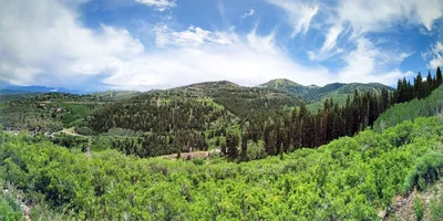 Best Real Estate Agent to Sell Your Park City Home