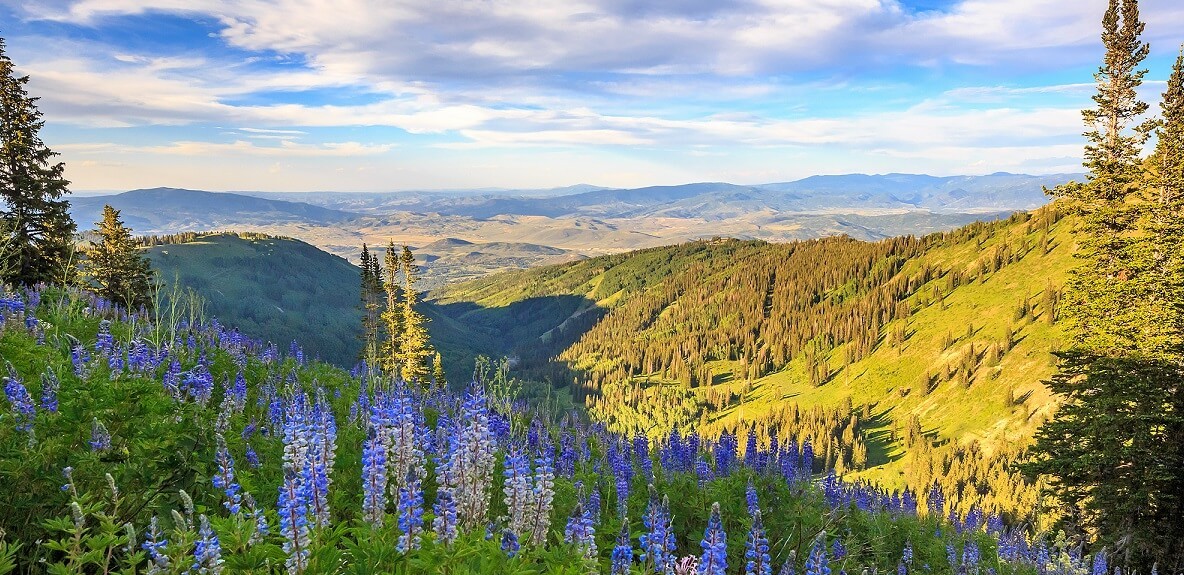 The Canyons, Park City Real Estate The Canyons Homes For Sale